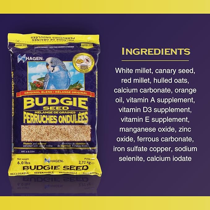 Hagen Parakeet/Budgie Staple White Millet Bird Seed – Premium Blend, Nutritionally Balanced, Fortified with Vitamins & Minerals, Dust-Free Mix for Budgies, 6 lb Bag