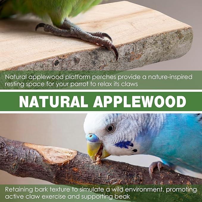 Saillong 4 Pack Natural Wood Bird Perch, Multi Branch Parrot Stand, Toy for Parakeet, Cockatiels, Conures, Lovebirds, Long Tailed Small Parrots Climbing Chewable Standing Cage Accessories