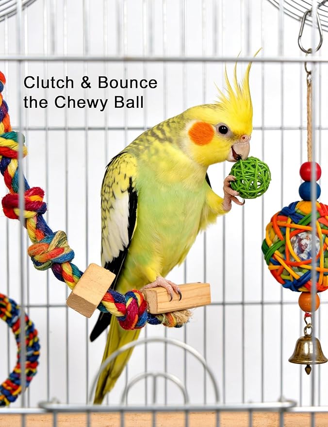5-Pack Bird Toys for Parrots, Parakeets - Colorful, Safe, Fun for Big & Small Birds, Chase Toys Wildly (1.5'' - 2.8'')