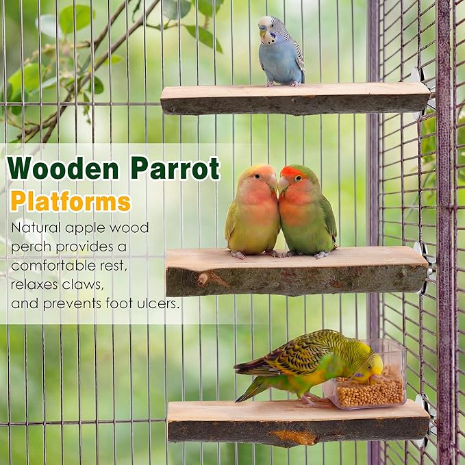 Saillong 3 Pack Natural Wood Bird Perch, Parrot Platforms Stand, Comfortable Resting Perch for Eating, Drinking & Foot Health, Chewable Standing Cage Accessories, for Parakeet, Cockatiels, Lovebirds