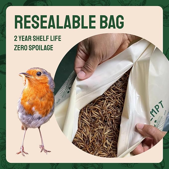 Hatortempt Dried Mealworms for Wild Birds - 1.8 Lb Bag - Bluebird Food - High-Protein Meal Worms for Blue Birds, Robins and Chickadees