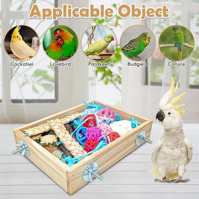BNOSDM Bird Foraging Toys Box Colorful Parrot Foraging and Shredding Toy Boxes Natural Bird Toy Wooden Birds Chewing Toys for Parakeet, Conure, Cockatiel, Budgies, Lovebirds (Small)