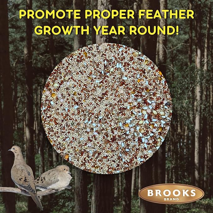 Brooks Brand Birds of a Feather Deluxe Dove Food, Pigeon Food, Mourning Dove Outdoor Bird Seed, Dove Bird Seed, Comida para Palomas, Made in USA, 8 lbs