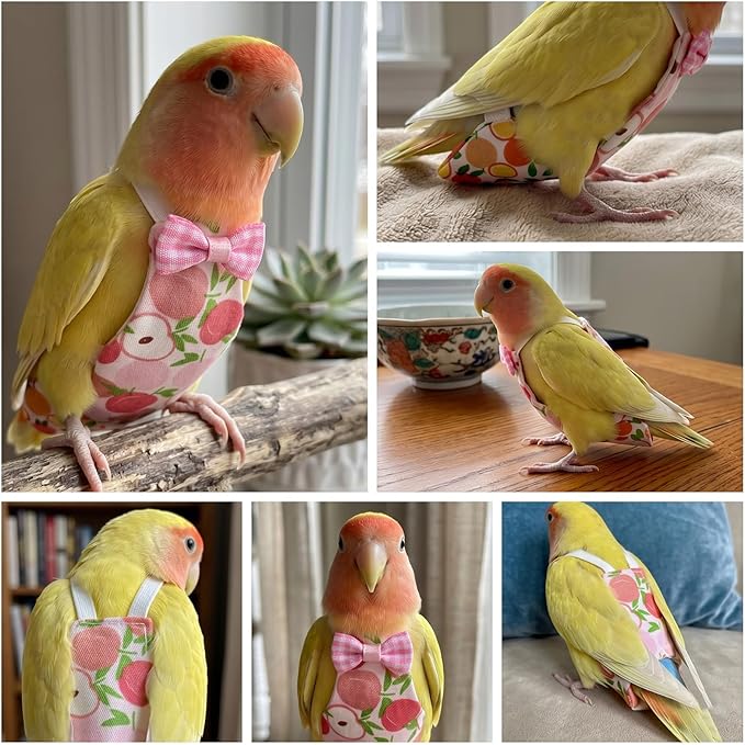 4 Pcs Bird Diaper Reusable Cute Pet Bird Parrot Diapers with Waterproof Inner for Cockatiel Budgie Canary