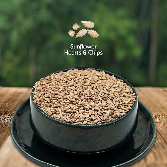 Morning Song Sunflower Hearts & Chips Wild Bird Seed – 10 lb. Premium No Mess, Shell-Free Bird Food for Outside Feeders