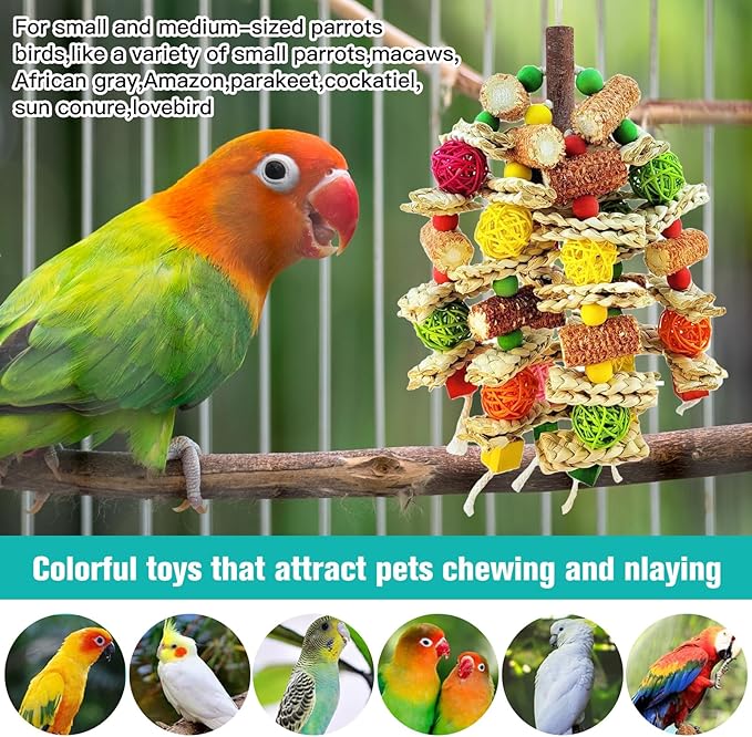 Parrot Chew Toy, Natural Material Bird Foraging Toy for Conures, Quaker Parrots, Medium-Sized Birds - Colorful Hanging Shredding Toy with Woven Ball, Corn Cob and Wooden Beads