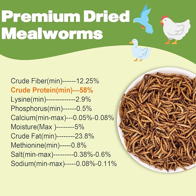 Dried Mealworms - 22 LBS- 100% Natural Non GMO High Protein - Bulk Mealworms for Wild Birds, Chicken Treats, Hamster, Gecko, Turtle, Lizard Food