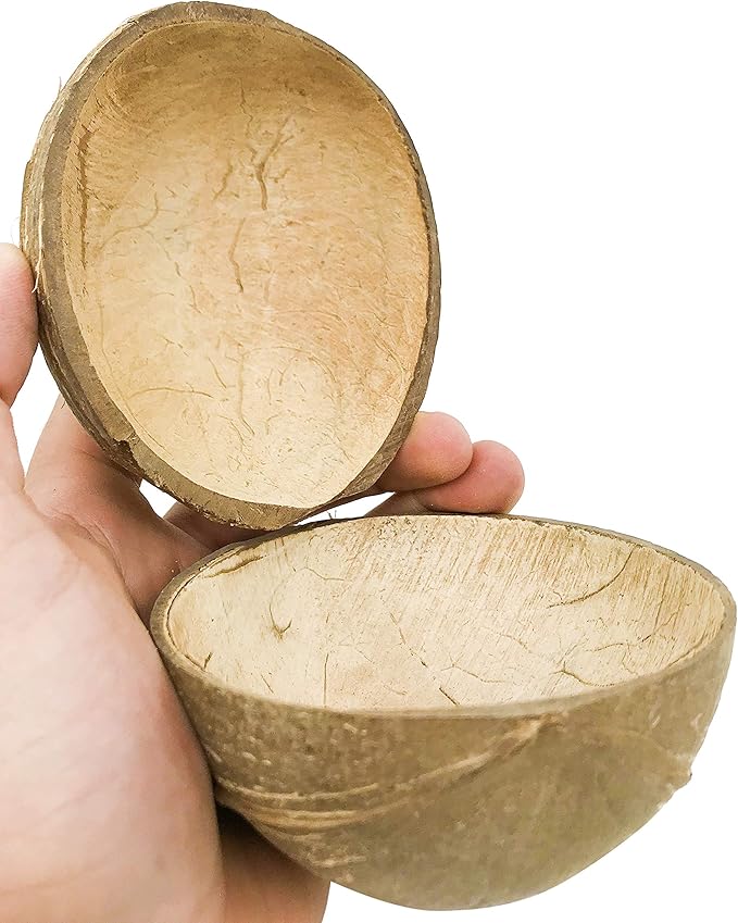 2055 2pk Coconut Cup Flat Base