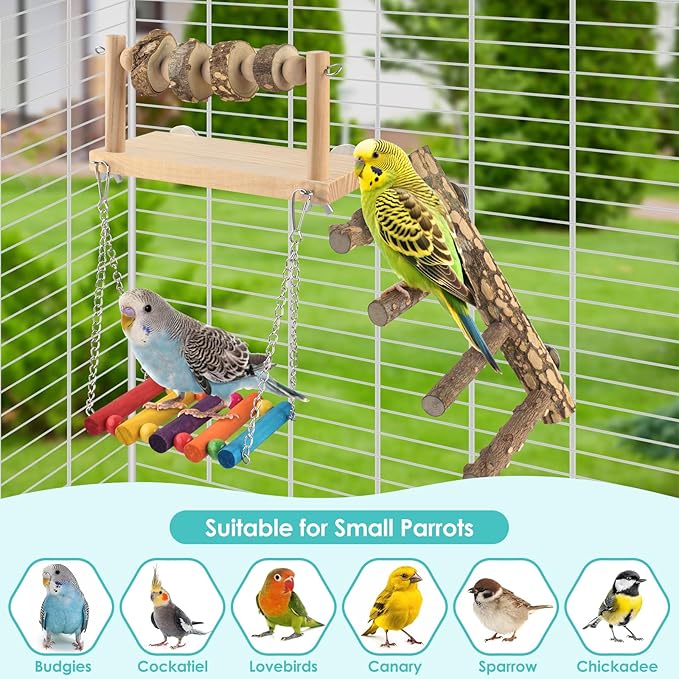 DBNESS 4 Pcs Bird Perch with Swing, Parrot Perches Platform with Chew Blocks, Natural Climbing Ladder Bridge Colorful Hammock for Budgies, Cockatiels, Lovebirds, Finches
