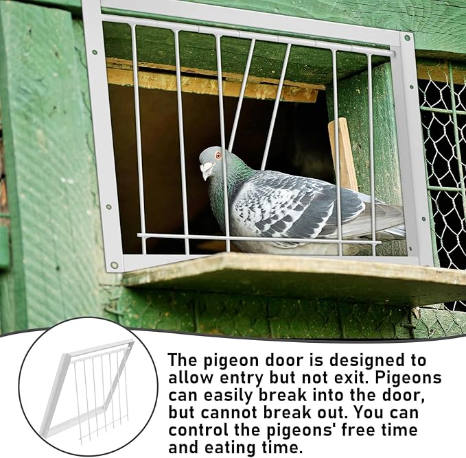 Suzile 2 Pcs 11.81" x 10.24" Pigeon Cage Door Bird Wire One Way Entrance Iron Pigeon Trap Bird House Door for Racing Supply Birdcage Breeding, White