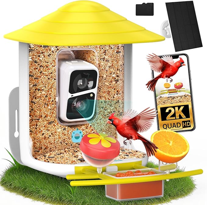 birdsnap® TUC Bird Feeder with Camera 2K HD Live with 32GB Card Auto Detect & Notify AI Identify Camera Birds Feeders Solar Powered Wireless Outdoors Backyard Gift for Mom Dad Birds Lover, 2.4G WiFi