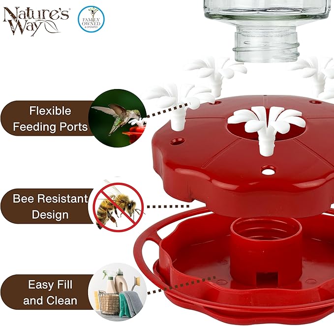 Nature's Way Hanging Glass Hummingbird Feeder for Outdoor Décor, 20 Ounce Capacity Nectar Feeder, Ant Moat, 5 Easy to Clean Flexible Ports, Red