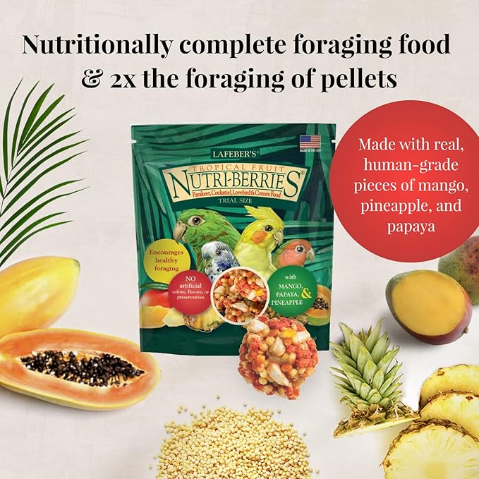 LAFEBER'S Foraging Fun Pack Pet Bird Food, Made with Non-GMO and Human-Grade Ingredients 5 oz (Cockatiel)