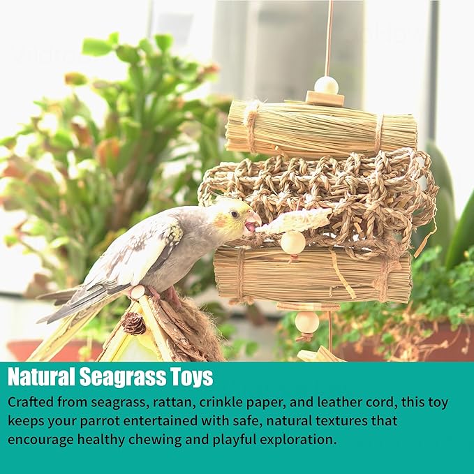 6 Pcs Natural Bird Toys for Parrots - Seagrass Swing, Loofah, Wood & Corn Husk Chew Toy Set - Shredding Enrichment Kit for Small to Medium Cockatiels, Parakeets, Conures, Budgies