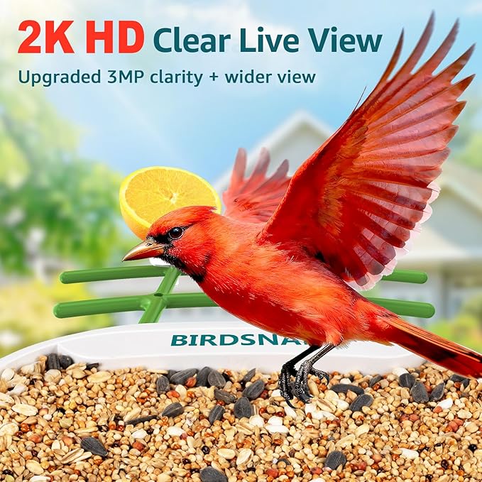 birdsnap® TUC Bird Feeder with Camera 2K HD Live with 32GB Card Auto Detect & Notify AI Identify Camera Birds Feeders Solar Powered Wireless Outdoors Backyard Gift for Mom Dad Birds Lover, 2.4G WiFi