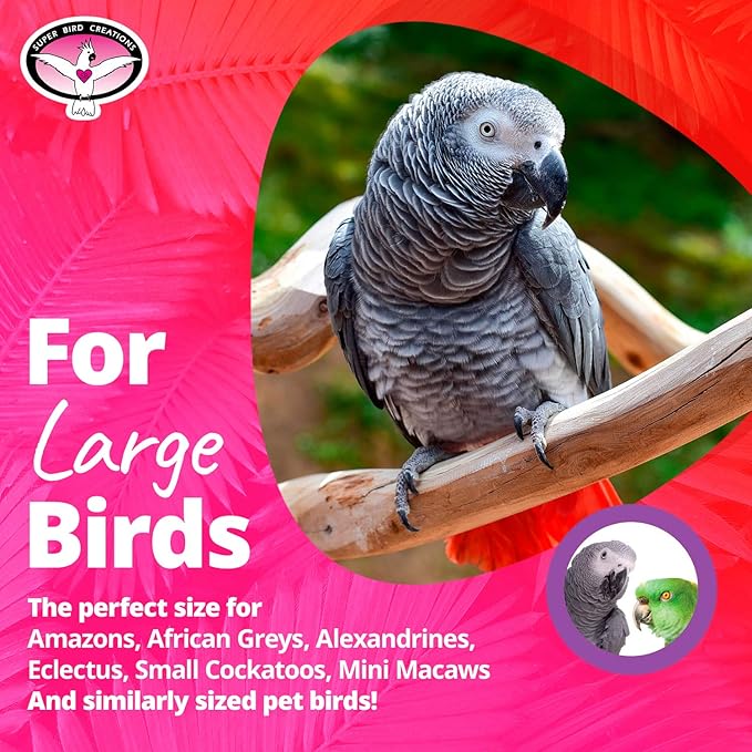 Super Bird Creations SB399 Woodpile Bird Toy - Vibrant Bird Toys for Mini Macaws, African Greys, Small Cockatoos, Parrots - Enriching Bird Toy with Chewable Elements - Large to XL Bird Size