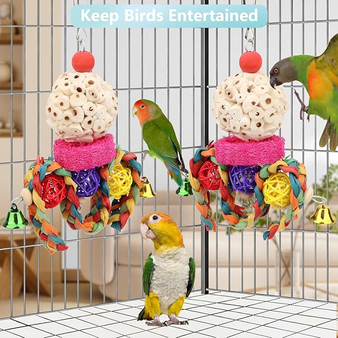 Wontee Bird Toys 3 Pack Parrot Foraging Hanging Toys Sola Ball Natural Nuts Chew Toys for Cockatiels Conures Parakeets Budgies Senegal (2 Pack-Colorful)