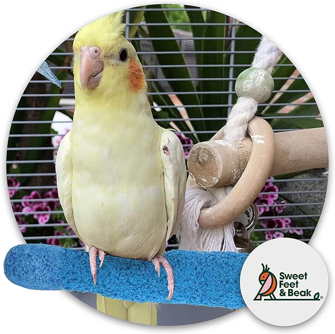 Sweet Feet and Beak Comfort Grip Safety Perch for Bird Cages - Pedicure Perch for Birds to Keep Nails and Beaks in Top Condition - Safe Easy to Install Bird Cage Accessories Small 6.5" - Yellow