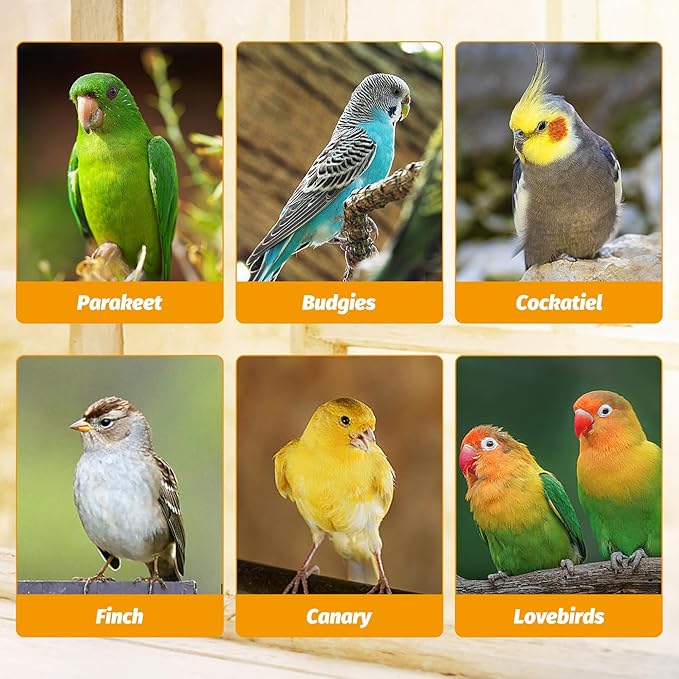 BNOSDM No Mess Bird Feeder Transparent Automatic Bird Cage Feeder with Perch Acrylic Parrot Food Container Parakeet Cage Accessories for Parakeets, Budgies, Cockatiel, Finch, Canary, Lovebird (White)