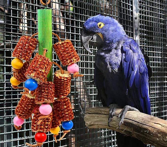 Bird Chew Toys for Parrots - Safe Durable Natural Corn Cob Chewing Toy for Cockatiels, Conures, Lovebirds, Macaws, African Grey & Cockatoos | Hanging Aviary Enrichment for Small/Medium Birds