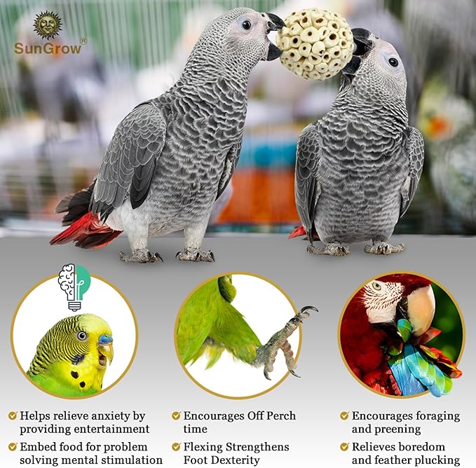 SunGrow Sola Atta Foraging Balls, 2”, White Soft Shred Parrot Chews, Bird Chewing Accessories for Conure, Budgie, Parakeet, Cockatiel, Rabbits, Hamsters, and Small Pets, 3 Pcs/Pack