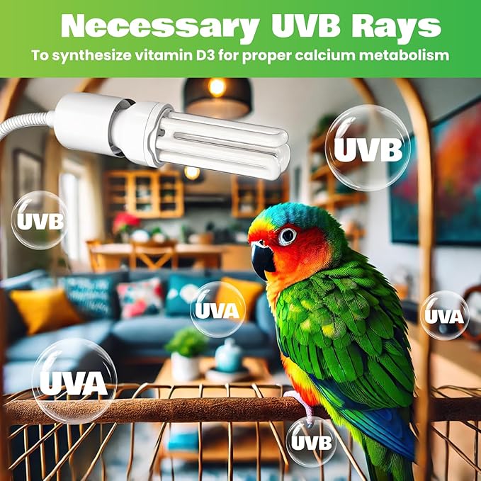 GlowUp UVB 2.4 Bird Cage Lighting Combo Kit, Bird Light for Captive Birds, 360° Rotatable Clip Lamp with 20W UVB 2.4 Compact Fluorescent Light Bulb