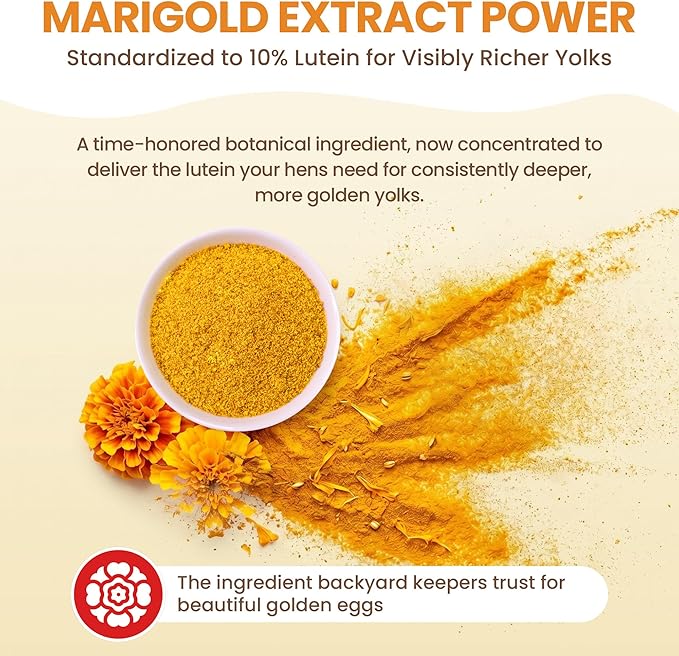 Golden Yolk Daily Egg Booster for Chickens - 1 LB Whole-Food Chicken Vitamins and Supplements - 13 Herbs with Marigold Lutein, Omega-3 Flaxseed and Calcium - Laying Hens, 30-Day Supply