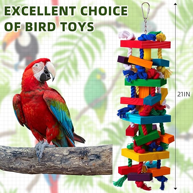 Soulchen 4 Pcs Extra Large Bird Parrot Toy Set Natural Wooden Chewing Toy, Rattan Ball, Wood Nut Loofah String (Bagged) for Large Macaws, African Grey, Amazon Parrots (Colorful Ring)