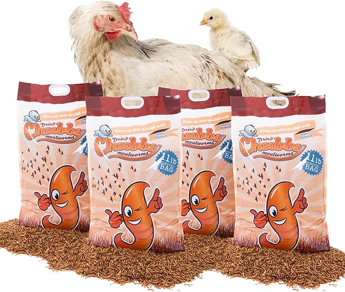 Chubby Dried Mealworms | 44 lbs | High-Protein Non-GMO Treats for Chickens, Ducks, Wild Birds & Backyard Pets