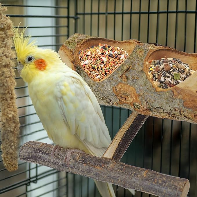 Wooden Bird Feeding Dish Cups Perch Stand Hanging Feeder Solid Wood Parrot Feeding Bowl for Parakeets Conures Cockatiels Budgie Parrot