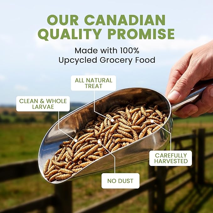 Black Soldier Fly Larvae for Chickens & Ducks – 11lb Dried Worms & Grubs – High Protein & Calcium Mealworms Alternative | Dried Black Fly Larvae for Chickens Bulk – Non-GMO, Farmed in North America