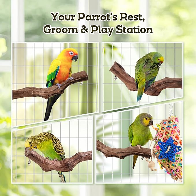 Bird Toys, Parakeet Foraging Toys, Hanging Chewing Toys with Natural Wooden Perches, Bird Cage Accessories, Suitable for Parakeets, Cockatiels, Budgies, Lovebirds & More
