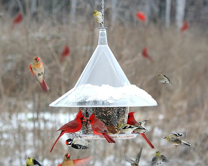 SKY CAFE - Squirrel Proof Bird Feeder for Outside - Large, 17 in. Diameter, 1.5 Gallon Birdseed Capacity - Made in USA by Arundale (Crystal Clear) - Free Mug