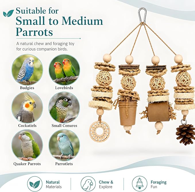 Bird Foraging Toy Parakeet Enrichment Puzzle Parrot Foraging Toys Loofah and Pine Cone Chew Play for Budgies Cockatiels Conures Quaker Parrot Small to Medium Birds