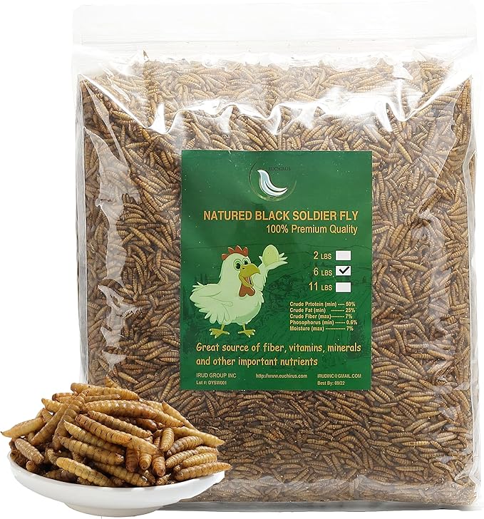 Non-GMO High-Protein Large Dried Black Soldier Fly Larva for Chickens, Natural Grubs and Poultry Treats as Chicken Feed,Duck Food, Wild Birds Seed,Reptile Food(Black Soldier fly-6LB)