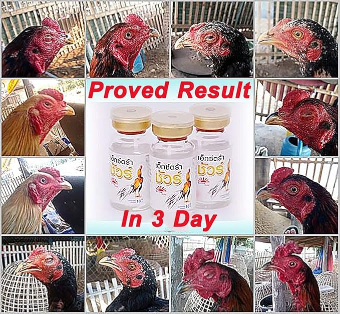 EXTER Sure Rooster Booster Health Vitamin Support Fast Result, Stimulates & Improved Immunity Feed Nourishing Poultry (EXTER Sure Increasing Fast Energy 10 ML.)
