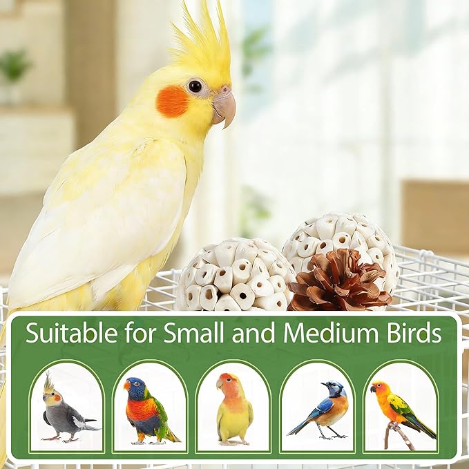 Natural Bird Toys Rattan Bird Foraging Box Parrot Shredding Toys Conure Chewing Toys for Cockatiel Lovebird Parakeet Budgie and Small to Medium Birds (Medium)