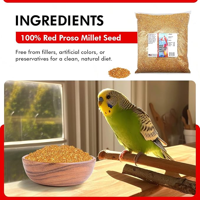 Morning Bird Red Proso Millet 9 lbs – Natural Bird Seed – Supports Feather Growth & Balanced Nutrition – Great Flavor, Energy Dense - Ideal for Finches, Parakeets & Pet Birds