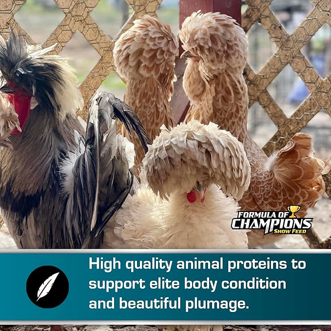 Fancy & Feathered Show Bird Mini Pellet, 50 lb Bag