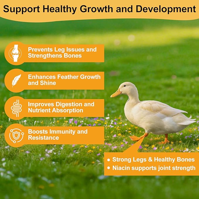 Brewer’s Yeast for Ducks with Niacin, Duck Vitamin B Complex Supplement to Supports Immunity Molt Recovery Severe Stress, Growth & Digestion, Niacin-Rich Powder for Healthy Legs Bones 7oz