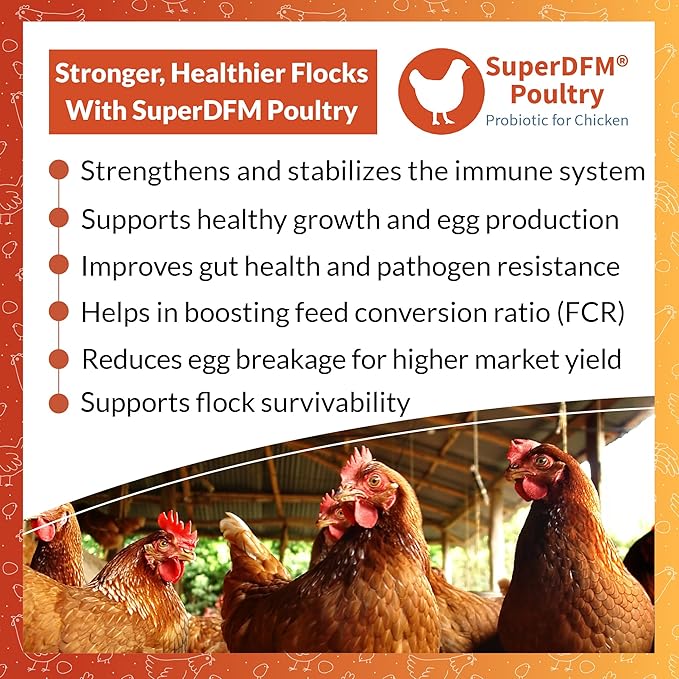 SuperDFM Poultry - All-Natural Probiotics for Chickens, Ducks, Quails & More - Commercial Poultry Supplements for Digestive & Immune Support - 50,000 Birds for 7 Weeks - 23.2 lbs