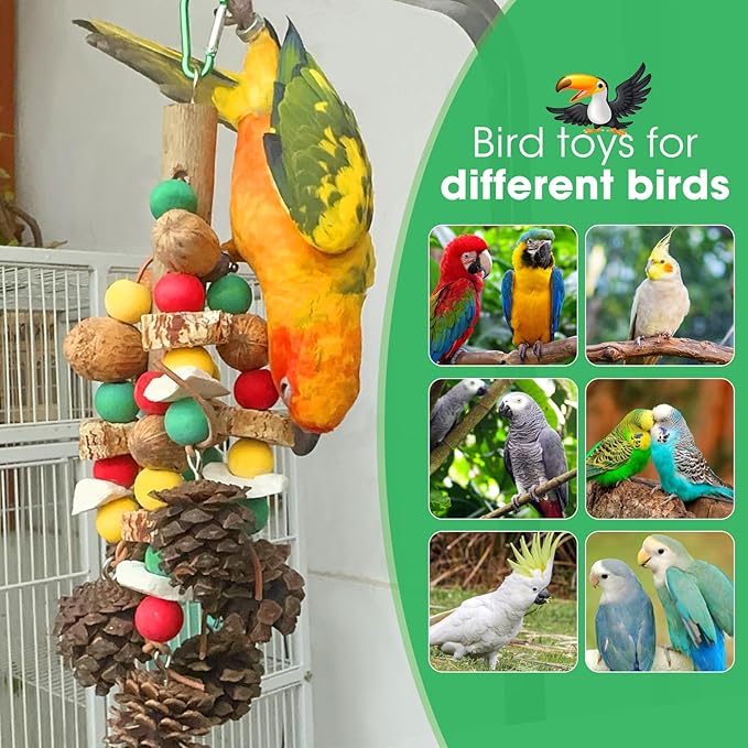 MQUPIN Parrot Toys, Nuts Nutrient-Rich Bird Toys,Natural Wooden Parrot Cage Bite Toy,Chewing Toy Containing Cuttlefish Bones,Pine Cones,Wooden Mangoes and Carambola for African Greys,Cockatoo,Budgie