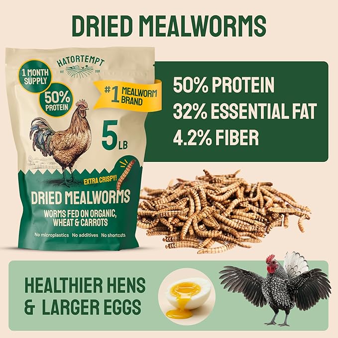 Hatortempt Bulk Dried Mealworms - 5 Lb Bag - Dried Mealworms for Chickens, Ducks & Wild Birds - High-Protein Chicken Feed & Bird Food