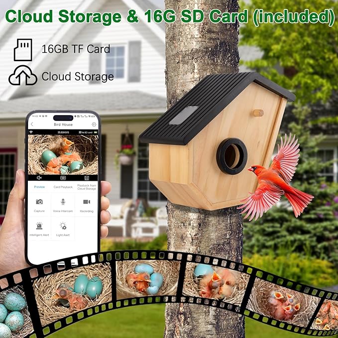 Bird House with Camera Solar Powered,2K HD Bluebird House with Camera Inside Solar Powered,Watch Nesting in Real Time,2.4G WiFi,Night Vision,Motion Detection&App Notification,Gift for Bird Lovers