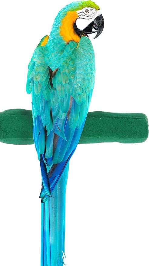 Sweet Feet and Beak Comfort Grip Safety Perch for Bird Cages - Pedicure Perch for Birds to Keep Nails and Beaks in Top Condition - Safe Easy to Install Bird Cage Accessories XL 13.5" - Green