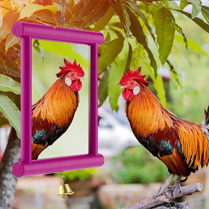 Sadnyy Extra Large Chicken Mirror Toys Hanging Swing Double Side Mirror with Bell Wooden Pecking Toy for Hens Birds Parrots Coop Roosters Enrichment Toy for Poultry(Square, Rose Red, 1pcs)