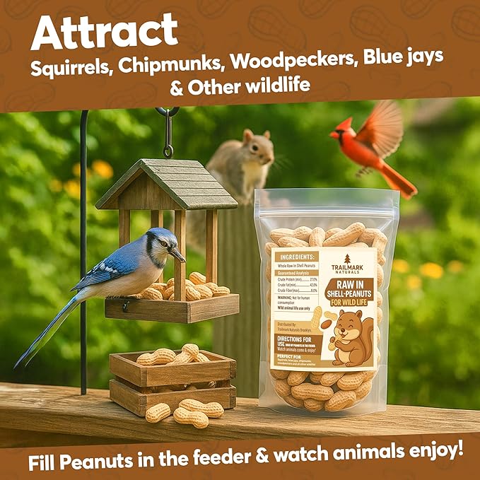 8 LB - Raw Peanuts For Squirrels, Raw In Shell Peanuts For Birds and Wildlife- Squirrel Food, Wild Bird Seed - Grown in The USA