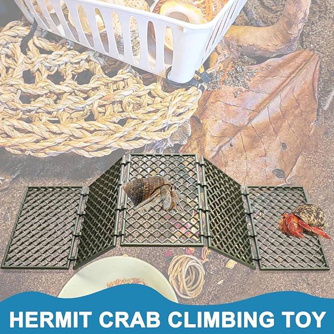 Hermit Crab Climbing Toys | 5 Pcs DIY Mesh Hermit Crab Ladder | Hermit Crab Tank Enrichment Decor | Hermit Crabs Decoration Accessories Supplies Toys Ornaments