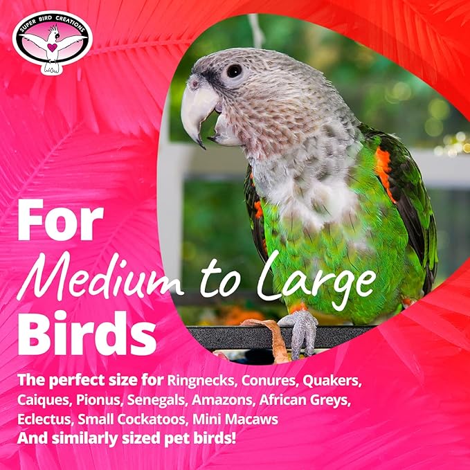 Super Bird Creations SB634 4 Way Forager Bird Toy with Clear Acrylic Cups, Medium to Large Bird Size, 12” x 7” x 7”