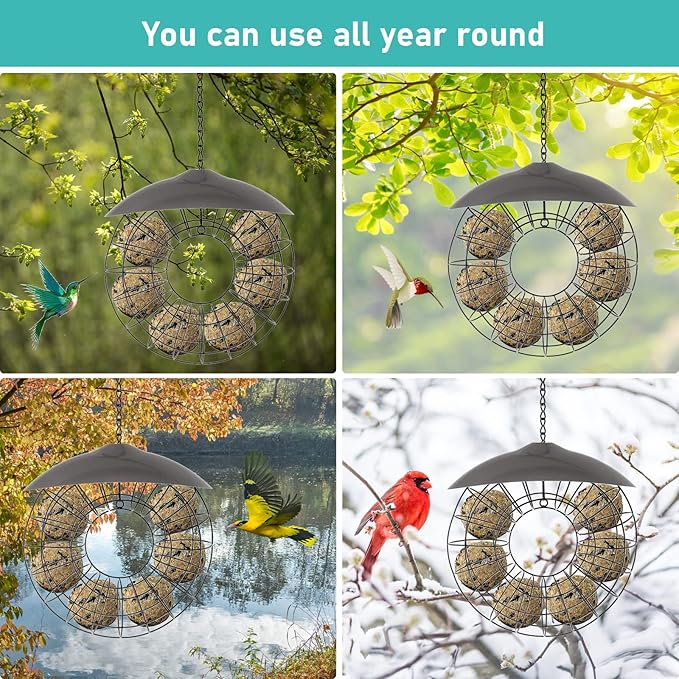 Fat Ball Stand, Fat Ball Feeder for Bird Feeder, Hanging Round Shape Metal, Food Ring Dispenser with Lid